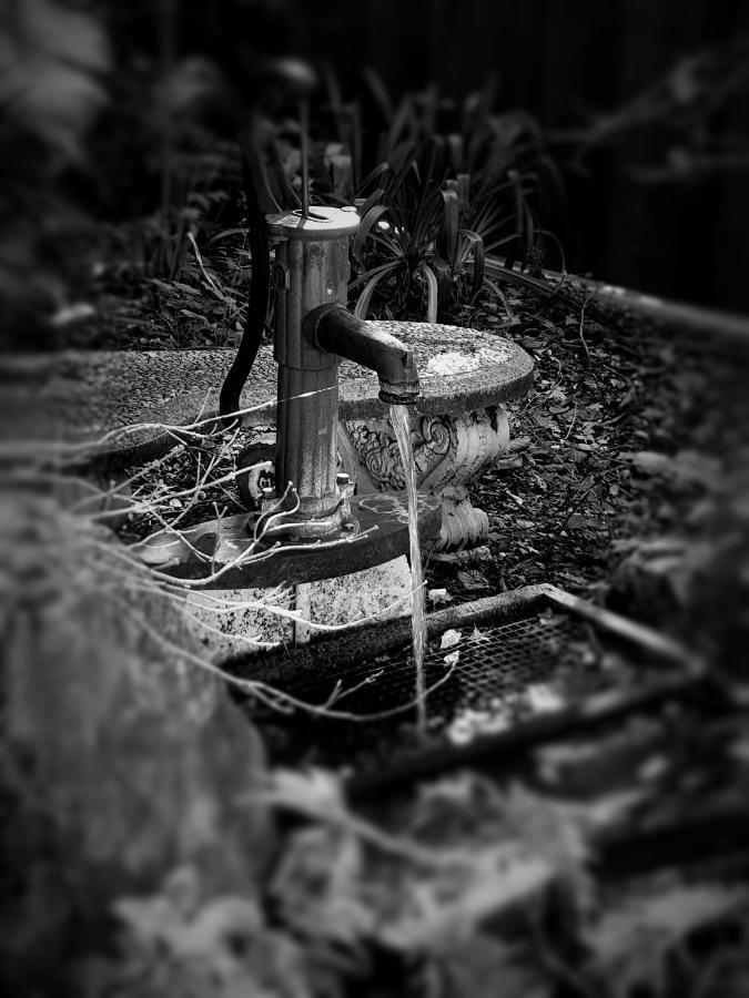 Enchanted Escape Picton Exteriör bild